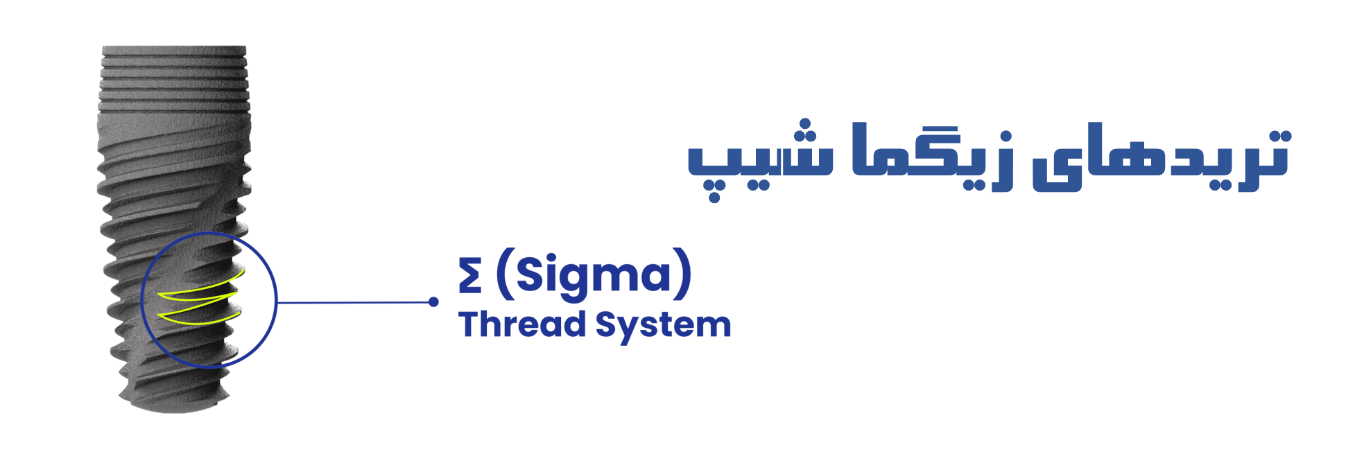 عکس رزوه های زیگما شیپ فیکسچر